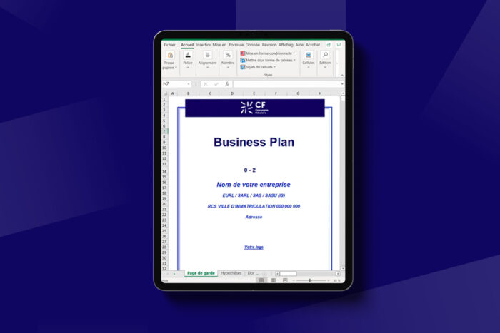 Modèle de Business Plan (partie financière)