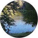 SCI ORRI profile picture